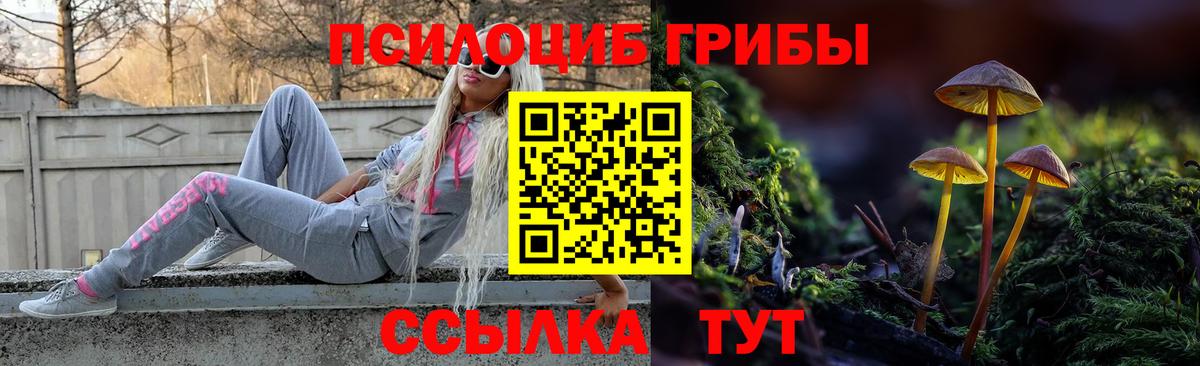 Борисоглебск  Галлюциногенные грибы мухоморы  Вход с VPN 
