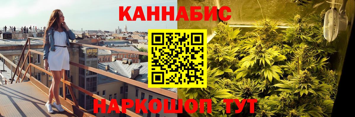 Бошки Шишки OG Kush  Вход с VPN  Борисоглебск  Канабис сатива 